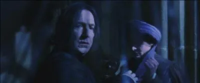 Quirinus Quirrell : "Severus. Je ..."
Severus Rogue : "Vous ne voudriez tout de même pas que je sois votre ennemi Quirrell."
Quirinus Quirrell : "Je ne vois pas ce que vous voulez dire."
Severus Rogue : "Vous voyez parfaitement ce que je veux dire ... Nous aurons une autre conversation afin de savoir dans quel camp vous êtes."