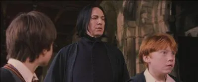 "Bonjour. Qu'est-ce que trois élèves de Gryffondor font à l'intérieur du château par un temps si radieux ?"
"Et bien ... nous ... enfin, nous ..."
"Faites attention. On pourrait penser que ... vous préparez un mauvais coup."