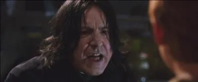 "Vous avez été vu par pas moins de sept Moldus. Vous rendez-vous compte ? Être sur le point de révéler notre secret ! Et en plus, vous avez abîmé un Saule Cogneur millénaire ! "
"Avec tout votre respect, je crois que c'est plutôt lui qui nous a abîmé."
"Silence ! Je puis vous assurer que si vous étiez à Serpentard, je n'hésiterais pas à vous renvoyer chez vous. Ce soir ! "