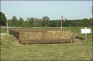 Quel est cet obstacle ?