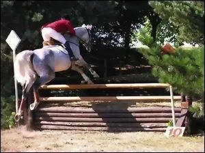 Quel est cet obstacle ?