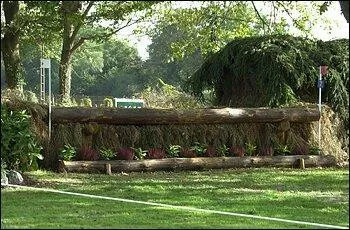 Quel est cet obstacle ?