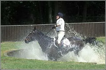 Quel est cet obstacle ?