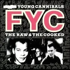 Formé au milieu des années 80, ce groupe britannique de pop/new wave a connu un grand succès grâce à de célèbres titres tels que "She Drives Me Crazy", "Good Thing" ainsi que "Johnny Come Home". Quel est le nom de ce groupe ?