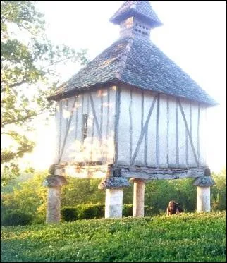 Au final, il devrait accueillir près de 3 millions de graines de variétés différentes... Savez-vous où se trouve le véritable grenier à graines de l'humanité ?