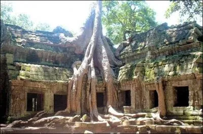 Sur quel continent se situe l'action du film ?