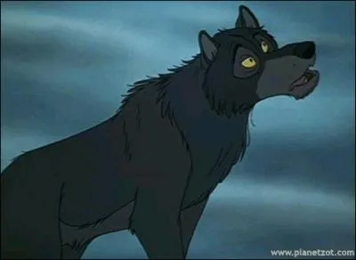 Le jeune garçon de la question N°1 va être élevé par une famille de loups. Quel est le nom du père "adoptif" du jeune garçon ?