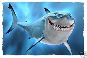 Quel est le prénom de ce requin que l'on retrouve ( encore) dans l'univers Disney, et dont la voix n'est autre que celle de Richard Darbois ?