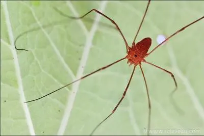 Là, la réponse est facile, à moins que qu'il n'y ait un piège ...