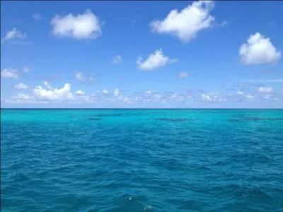 Dans le vieux vinaigre.