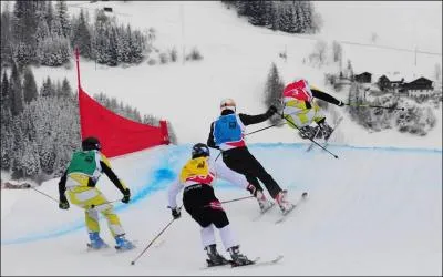 Comment s'appelle le champion olympique français du skicross aux Jeux Olympiques d'hiver à Sotchi en 2014 ?