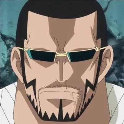 Il vient de "One Piece". Qui est-ce ?