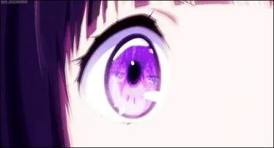 A qui appartient cet il ?