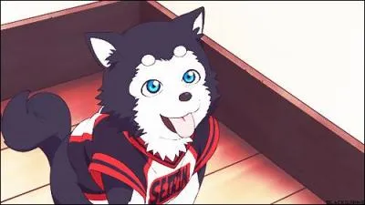 De quel manga vient ce petit chien prénommé Tetsuya ?