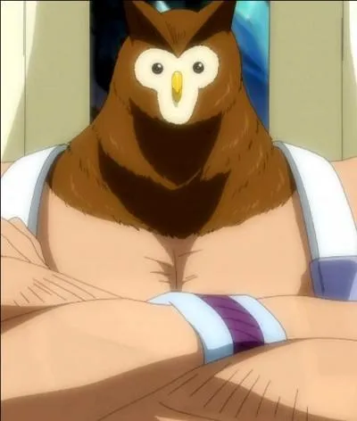 Cet hibou, qui nous vient de Fairy Tail, se prénomme...