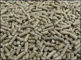 Quel est cet aliment ?