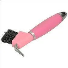 Quelle est cette brosse ?