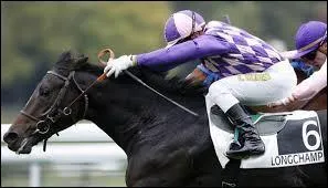 Que pouvons-nous voir sur la photo ?