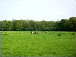 De quel logement s'agit-il ?