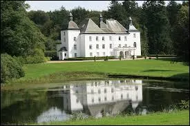 Villers-la-Bonne-Eau est une ville qui se situe en ______, cette ville est connue grâce au "château de Losange" qui appartient à la famille d'Udekem d'Acoz.