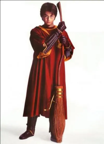 Qu'est-ce que Harry a reçu comme balai ?