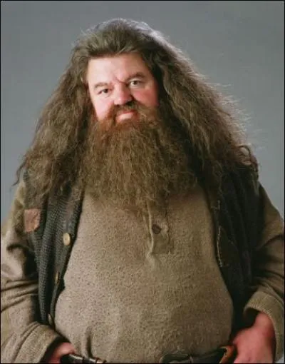 Qu'est-ce que Hagrid garde en secret ?