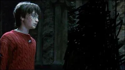 Qui essaye de voler la chose que garde le chien ?