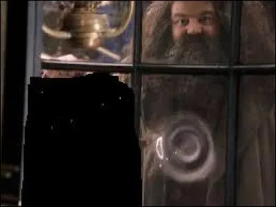Qu'est-ce que Hagrid lui offre comme cadeau pour l'anniversaire de Harry ?