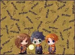 Combien de minutes Harry est-il resté chez "Fleury et Bott" ?