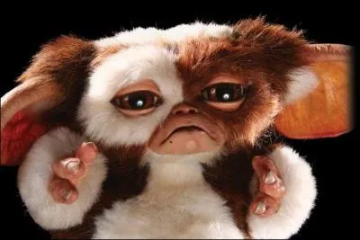 Ne jamais le mouiller et ne jamais le nourrir après minuit. Quel est son prénom ?