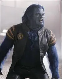 Scientifique et Ministre des mutants dans X-Men. ( son vrai nom est Henry "Hans" Philip McCoy).