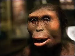 On a découvert mes os fossilisés en Ethiopie en 1974, je suis de l'espèce Australopithecus afaresis, on m'a donné le surnom de...