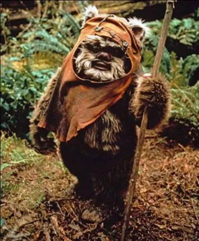 Habitant de la lune forestière d'Endor, dans Star Wars.