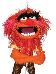 Batteur fou du Muppet Show.