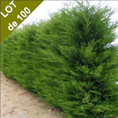 Le mot commence par Annie...