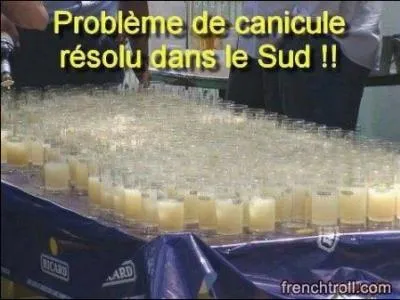 Coléoptère vert brillant, appelé aussi mouche espagnole !