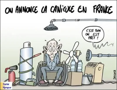 Petite outarde à collier blanc, qui se fait rare !