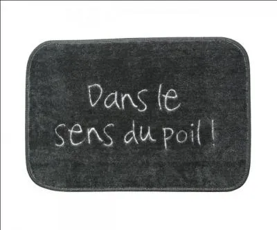 Comment reconnaît-on un avion portugais ?