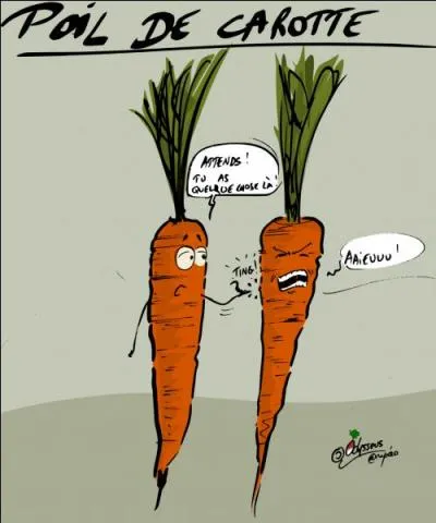 Qui a écrit "Poil de carotte " ?