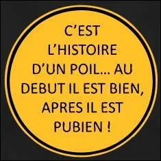 La question précédente ne vous a pas plu :