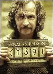 Quel lien unit Sirius Black et Harry Potter ?