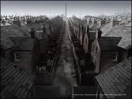 Carbone-les-Mines, ville où les Dursley vont temporairement se réfugier pour échapper aux lettres de Poudlard, est aussi :