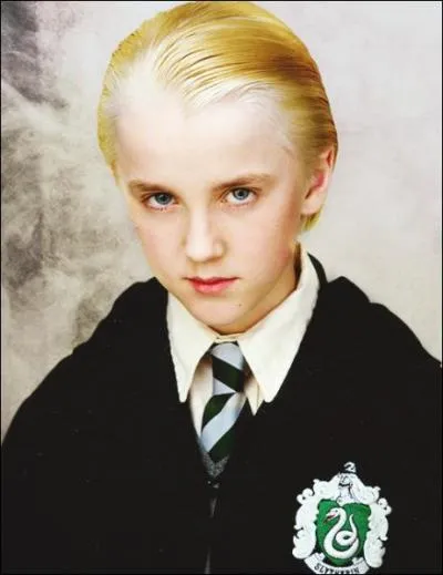 Où Harry rencontre-t-il Drago Malefoy pour la première fois ?