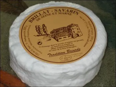 "Brillat-Savarin" est le nom d'un gâteau, d'un fromage et d'un écrivain belge.