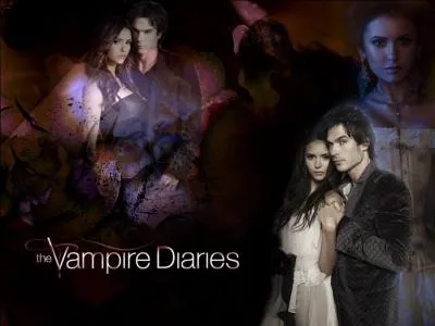 Comment appelle-t-on le couple de Damon et Elena ?