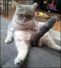 Ton petit copain s'est fait violer par sa belle-mère et pendant le viol, il a eu une érection. Il hésite donc à porter plainte car il se demande s'il était consentant ou non.