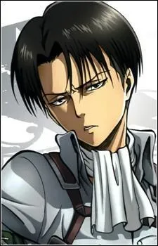 Quel est le nom de famille de Livaï ?