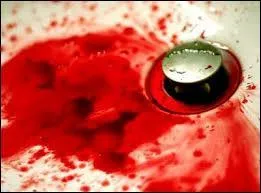 Si je ressens une émotion soudaine, vive et du genre bouleversante, une expression connue cite que "mon sang n'a fait ... "