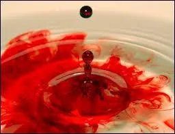 Nombreux sont les éléments qui constituent le sang. Parmi eux, on trouve des cellules nommées "globules blancs" et "globules rouges". Lequel de ces termes correspond à la dénomination scientifique des globules rouges ?