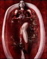 Une légende raconte que durant la fin du XVIe et début du XVIIe siècle, une comtesse du nom d'Elisabeth Bathory prenait des bains de sang, en quête de jeunesse éternelle. Ce sang provenait de jeunes filles torturées et assassinées. De quel pays était originaire cette comtesse sanguinaire ?